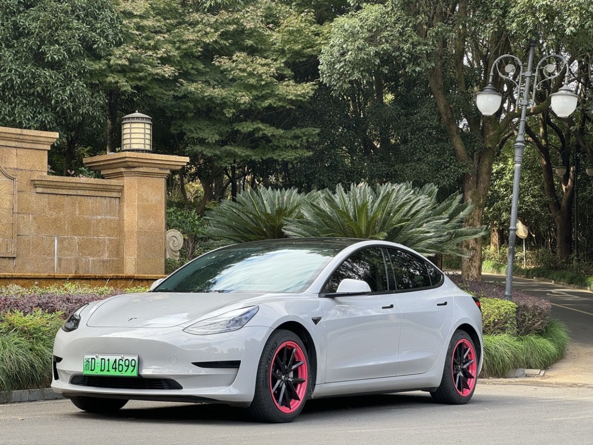 2021年1月特斯拉 Model 3  2021款 標(biāo)準(zhǔn)續(xù)航后驅(qū)升級(jí)版