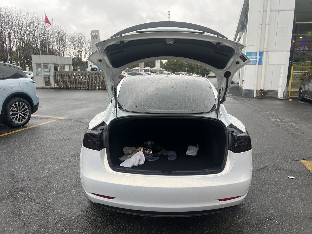 特斯拉 Model 3  2019款 標準續(xù)航后驅(qū)升級版圖片