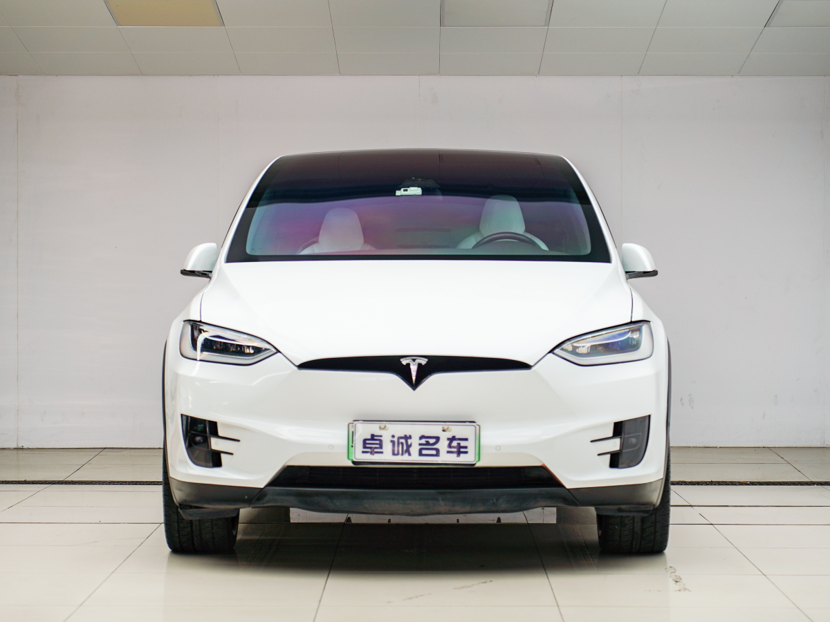 特斯拉 Model X  2019款 長續(xù)航版圖片