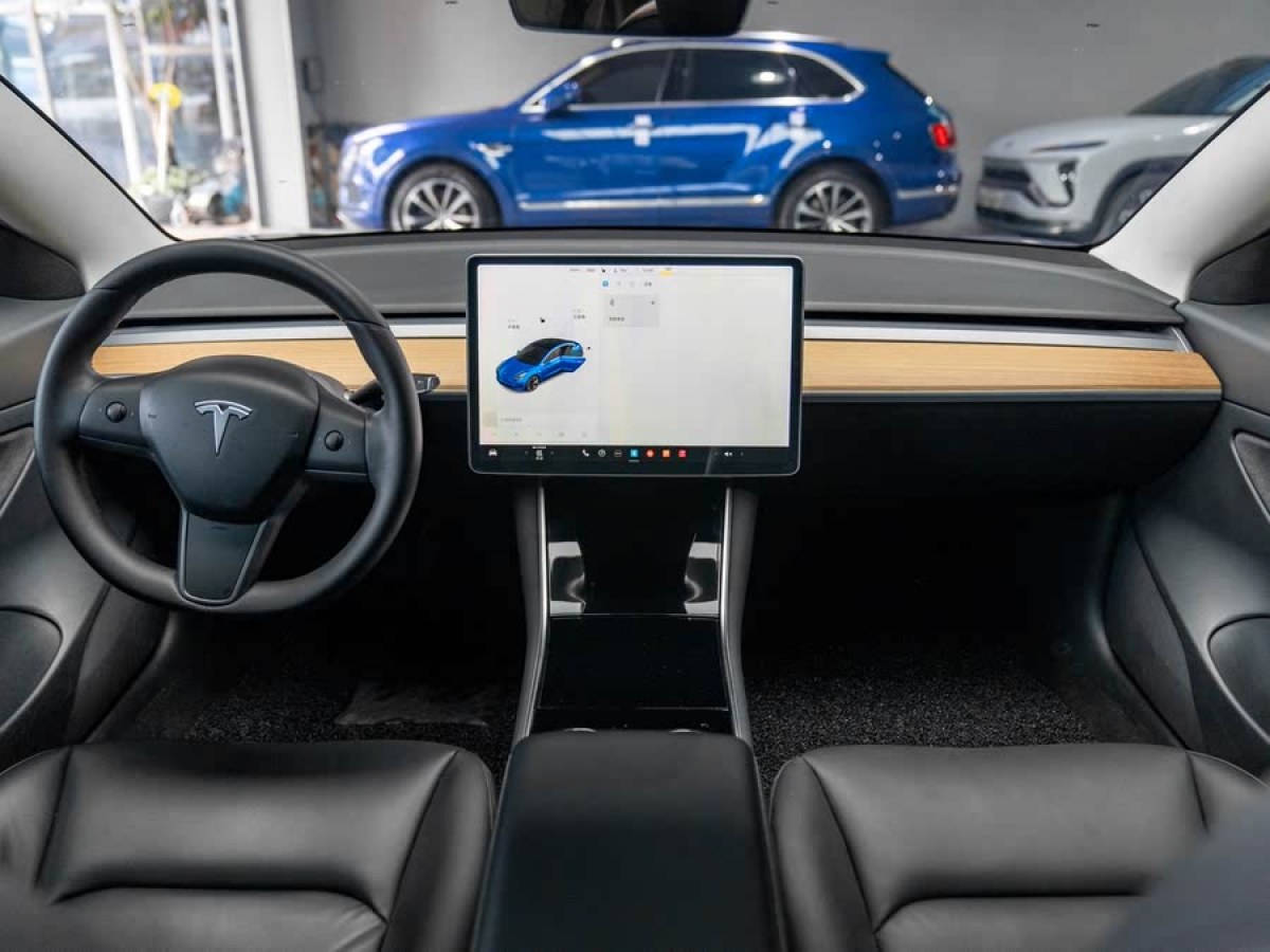 特斯拉 Model 3  2019款 標(biāo)準(zhǔn)續(xù)航后驅(qū)升級版圖片