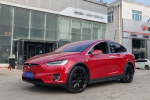 Model X 特斯拉 Model X 75D