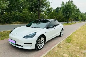 Model 3 特斯拉 改款 標準續(xù)航后驅升級版