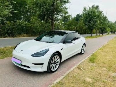 2020年5月 特斯拉 Model 3 改款 標(biāo)準(zhǔn)續(xù)航后驅(qū)升級版圖片