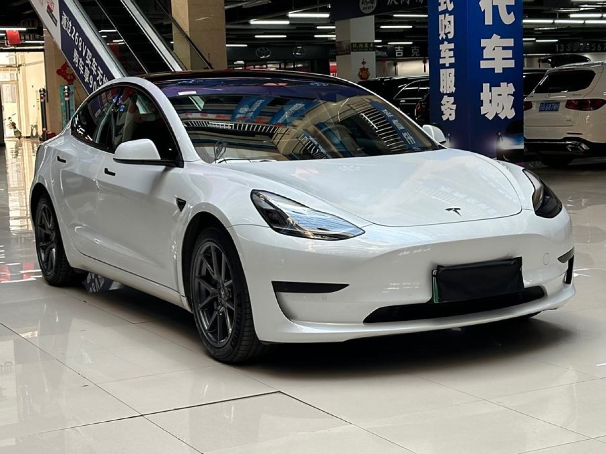 2021年4月特斯拉 Model Y  2021款 改款 標(biāo)準(zhǔn)續(xù)航后驅(qū)升級(jí)版