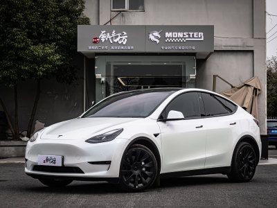 2021年5月 特斯拉 Model Y 長續(xù)航全輪驅動版 3D7圖片