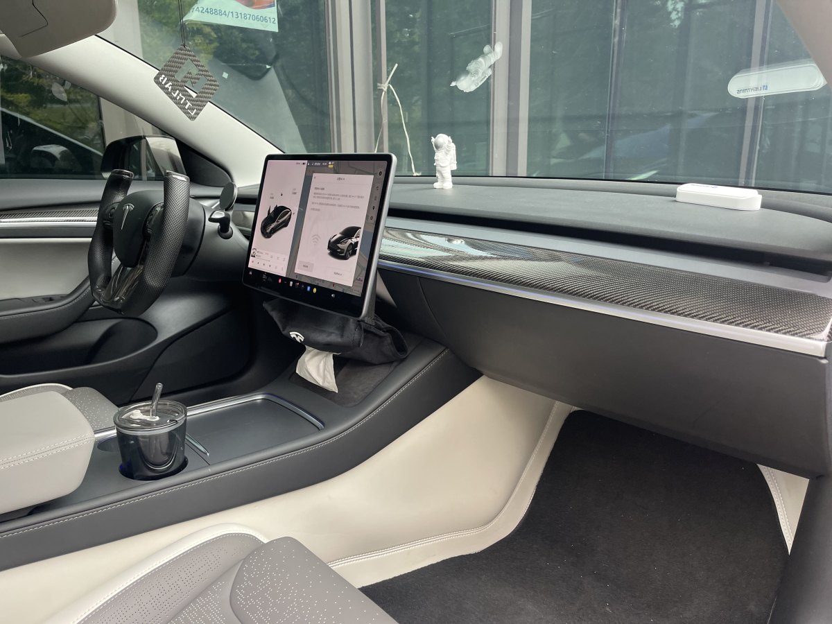 特斯拉 Model 3  2019款 標(biāo)準(zhǔn)續(xù)航后驅(qū)升級版圖片