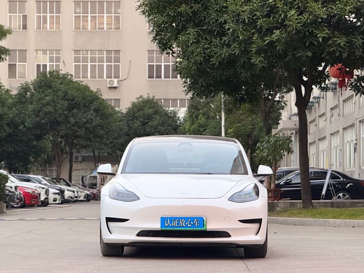 特斯拉 Model 3  2021款 標(biāo)準(zhǔn)續(xù)航后驅(qū)升級(jí)版 3D6圖片