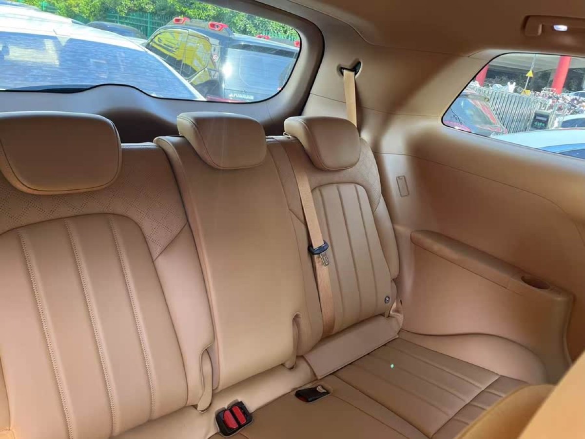 嵐圖 夢想家  2024款 PHEV 超長續(xù)航尊貴版圖片