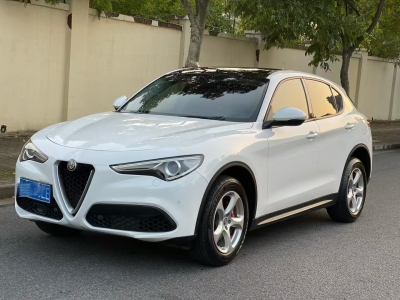 2019年6月 阿爾法·羅密歐 Stelvio 2.0T 200HP 精英版圖片