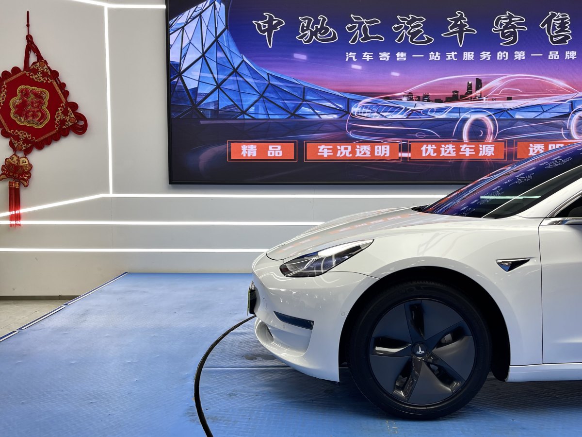 2019年9月特斯拉 Model 3  2019款 長(zhǎng)續(xù)航后驅(qū)版