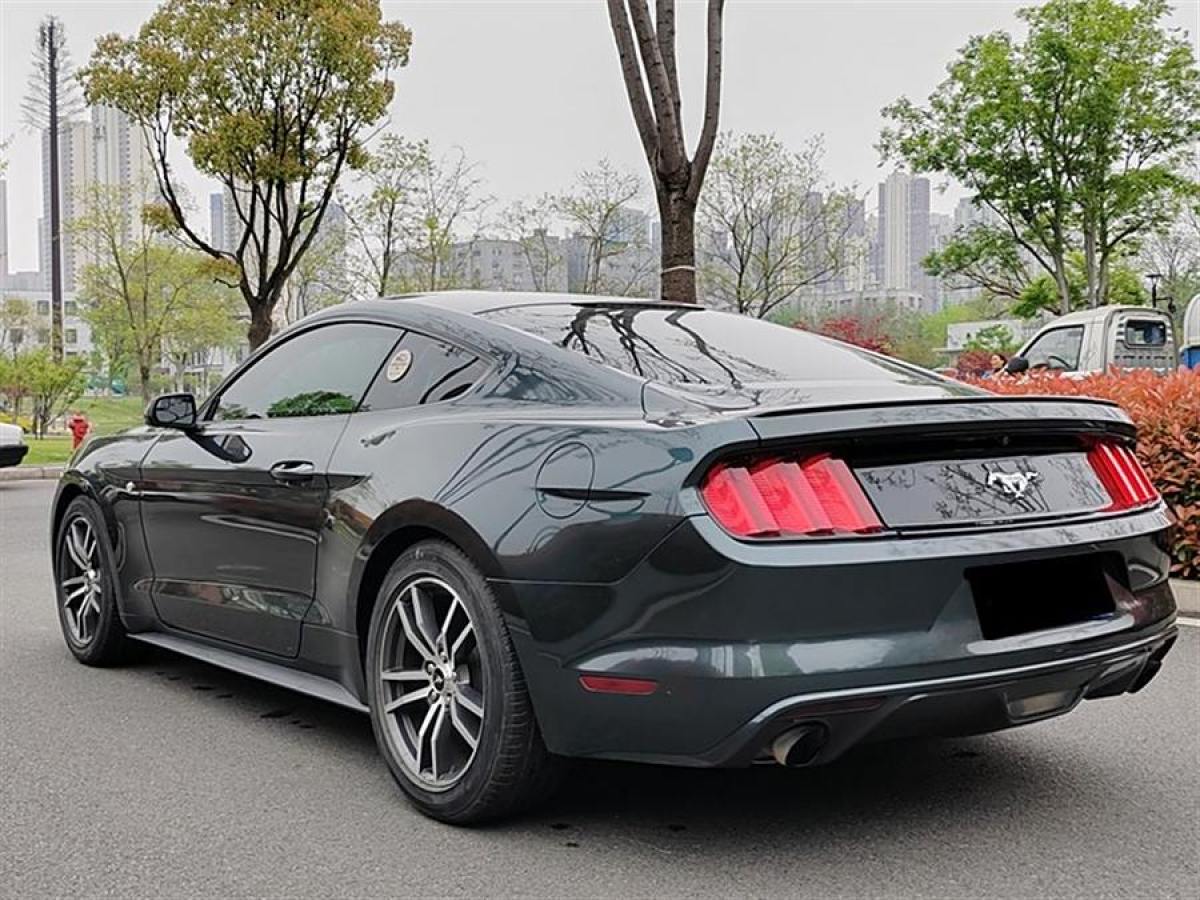 福特 Mustang  2015款 2.3T 性能版圖片