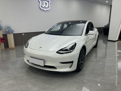 2020年4月 特斯拉 Model 3 標(biāo)準(zhǔn)續(xù)航后驅(qū)升級(jí)版圖片