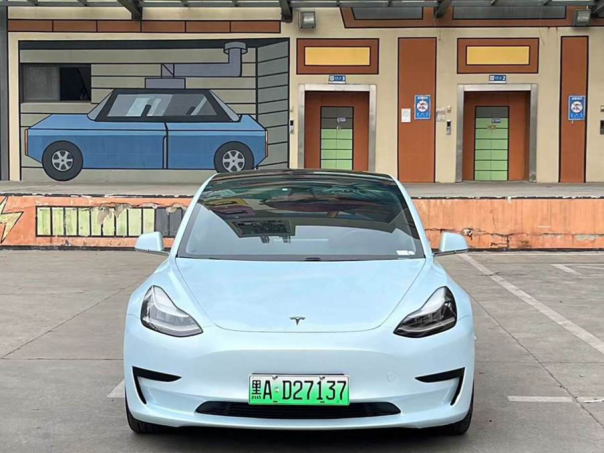 2020年6月特斯拉 Model 3  2019款 標(biāo)準(zhǔn)續(xù)航后驅(qū)升級版