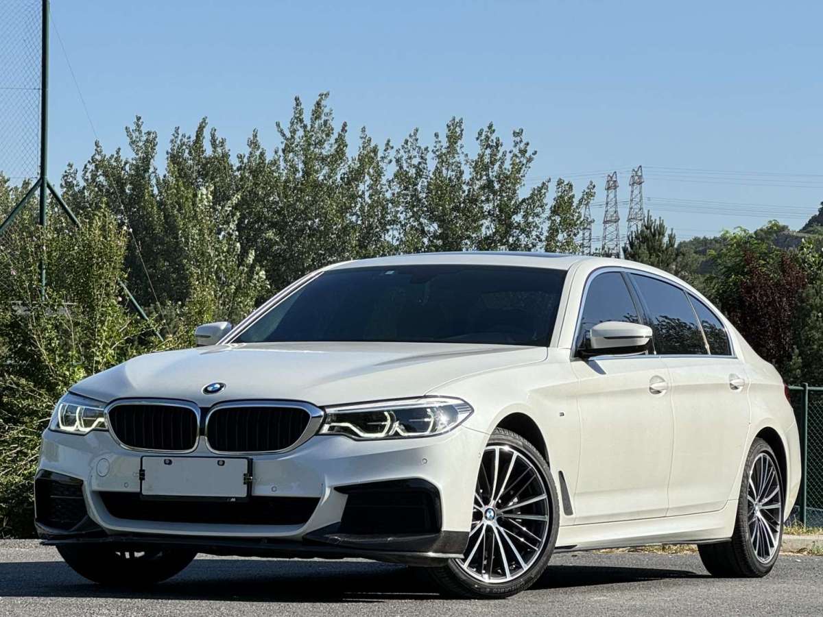 宝马 宝马5系  2020款 530Li xDrive 豪华套装图片