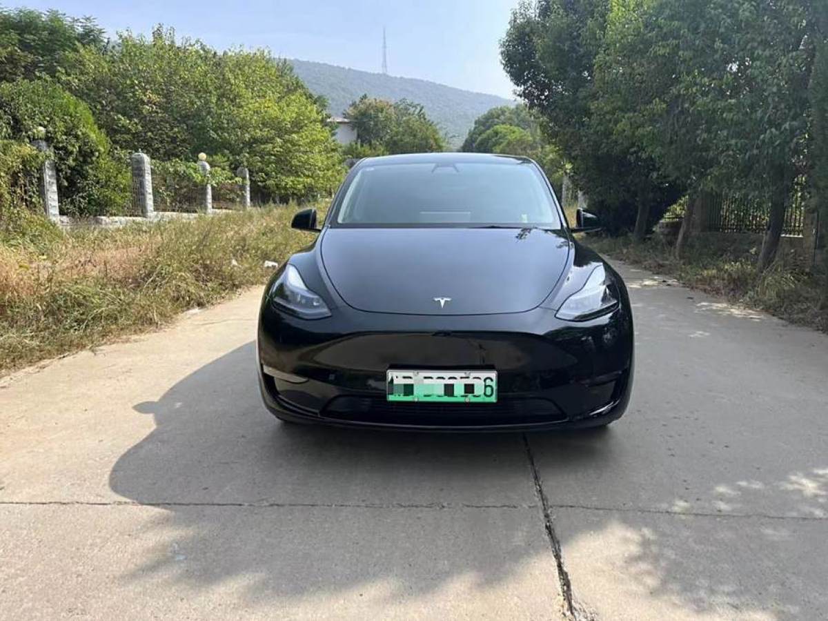 特斯拉 Model Y  2021款 改款 標(biāo)準(zhǔn)續(xù)航后驅(qū)升級版圖片