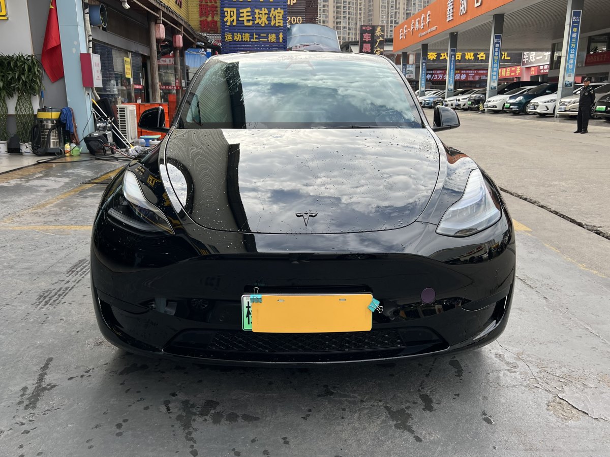 特斯拉 Model 3  2020款 改款 長續(xù)航后輪驅(qū)動版圖片