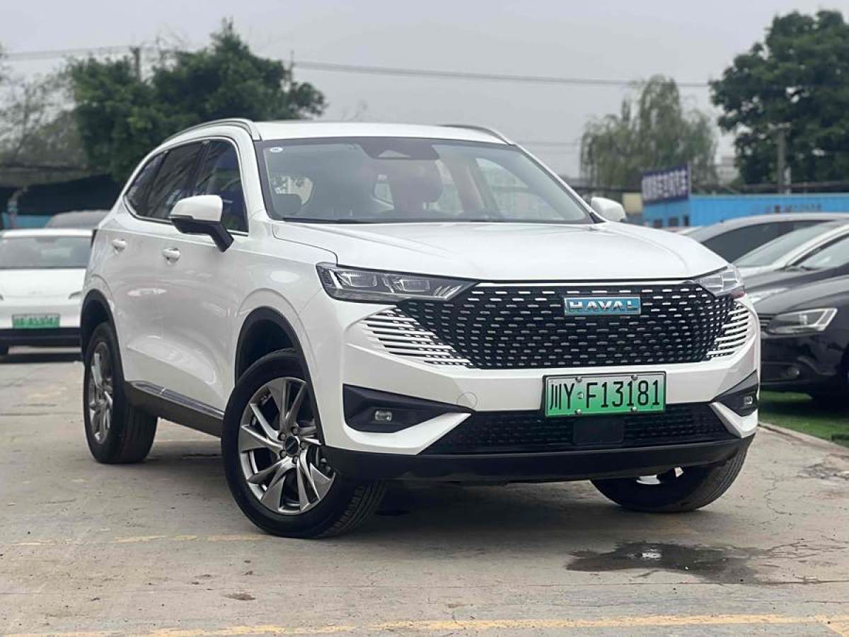 哈弗 哈弗H6新能源  2023款 DHT-PHEV 110KM 暢行版圖片