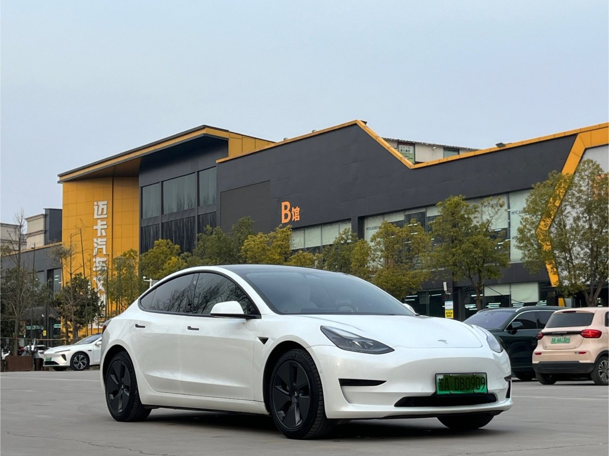 2023年3月特斯拉 Model 3  2019款 標(biāo)準(zhǔn)續(xù)航后驅(qū)升級版