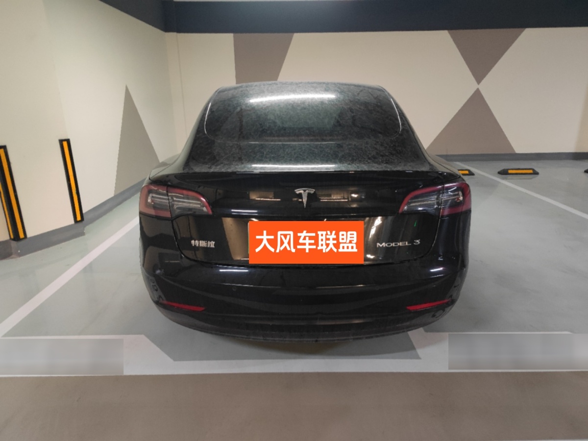 特斯拉 Model 3  2021款 改款 標(biāo)準(zhǔn)續(xù)航后驅(qū)升級(jí)版圖片