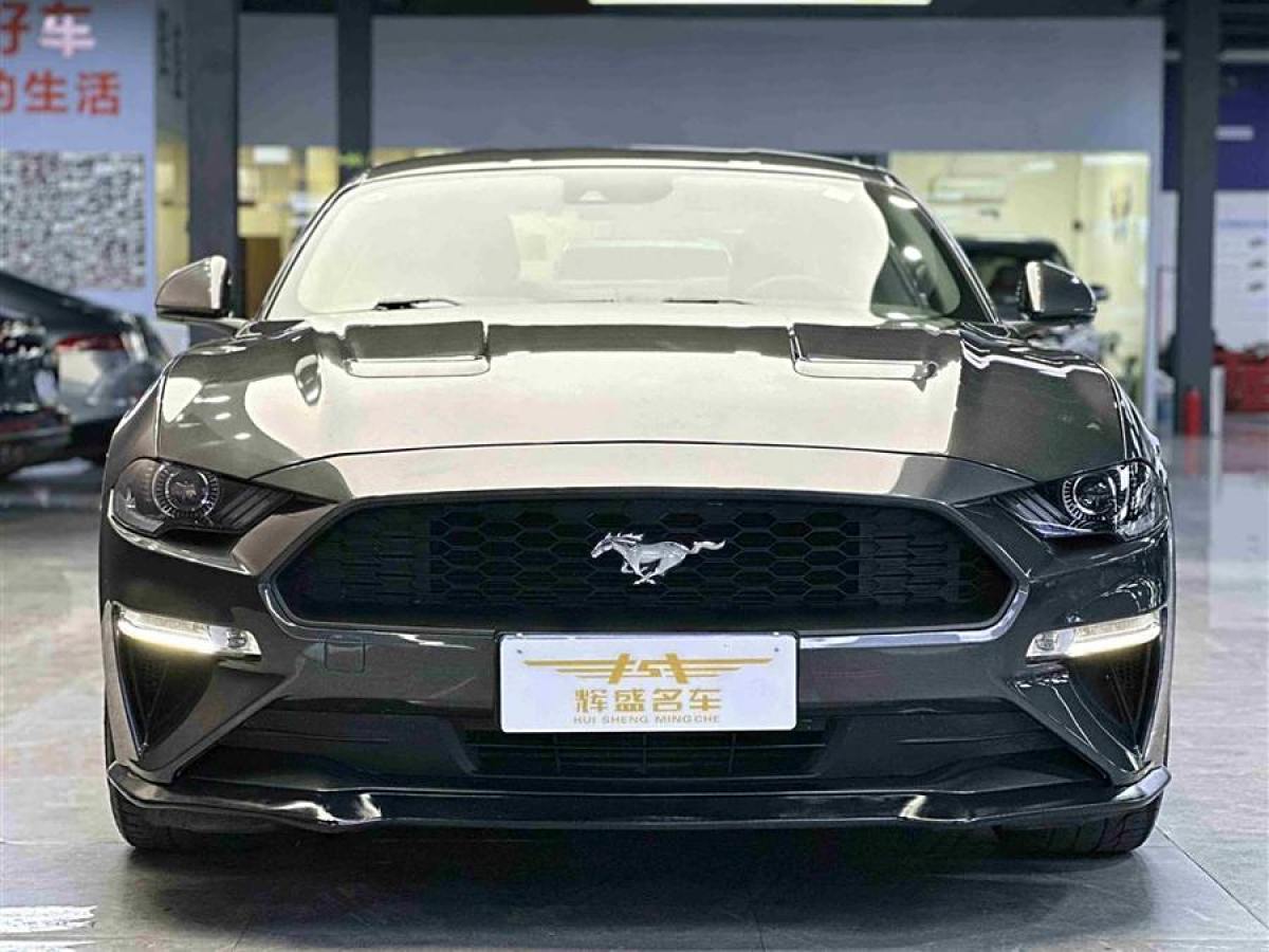 福特 Mustang  2020款 2.3L EcoBoost圖片