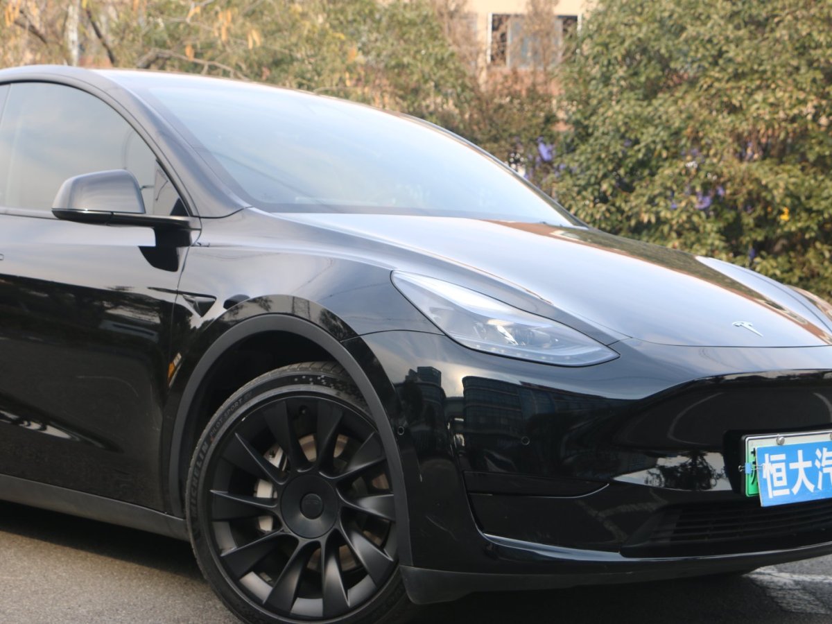 特斯拉 Model Y  2022款 后驅(qū)版圖片