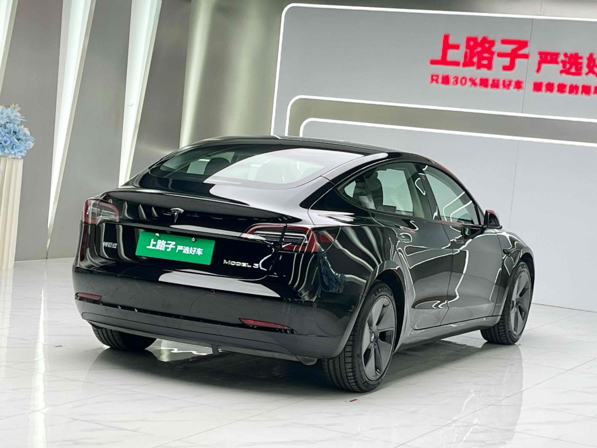 特斯拉 Model 3  2021款 標(biāo)準(zhǔn)續(xù)航后驅(qū)升級版 3D6圖片