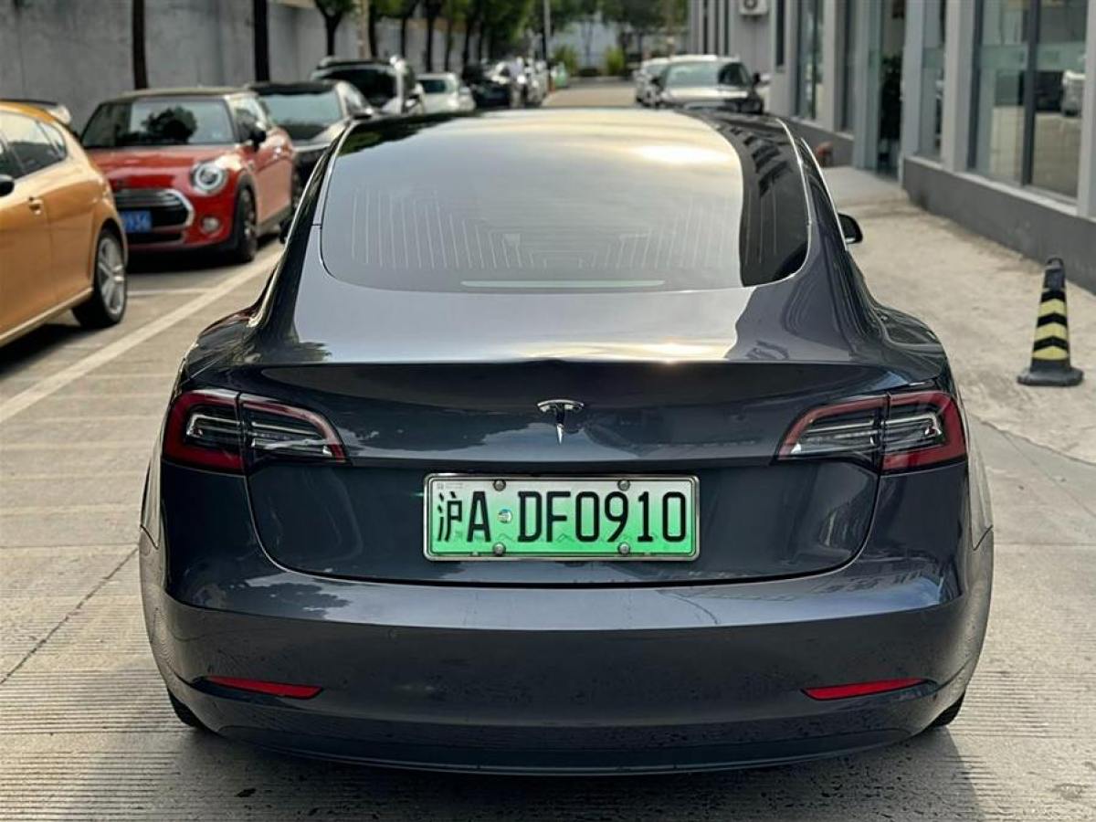 特斯拉 Model 3  2019款 標(biāo)準(zhǔn)續(xù)航后驅(qū)升級版圖片