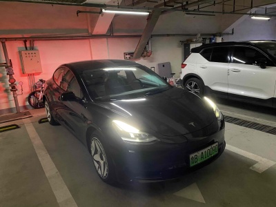 2021年12月 特斯拉 Model 3 標(biāo)準續(xù)航后驅(qū)升級版圖片