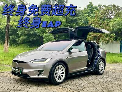 2017年9月 特斯拉 Model X Model X 75D圖片