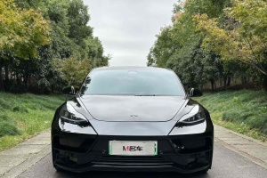 Model 3 特斯拉 Performance高性能全轮驱动版