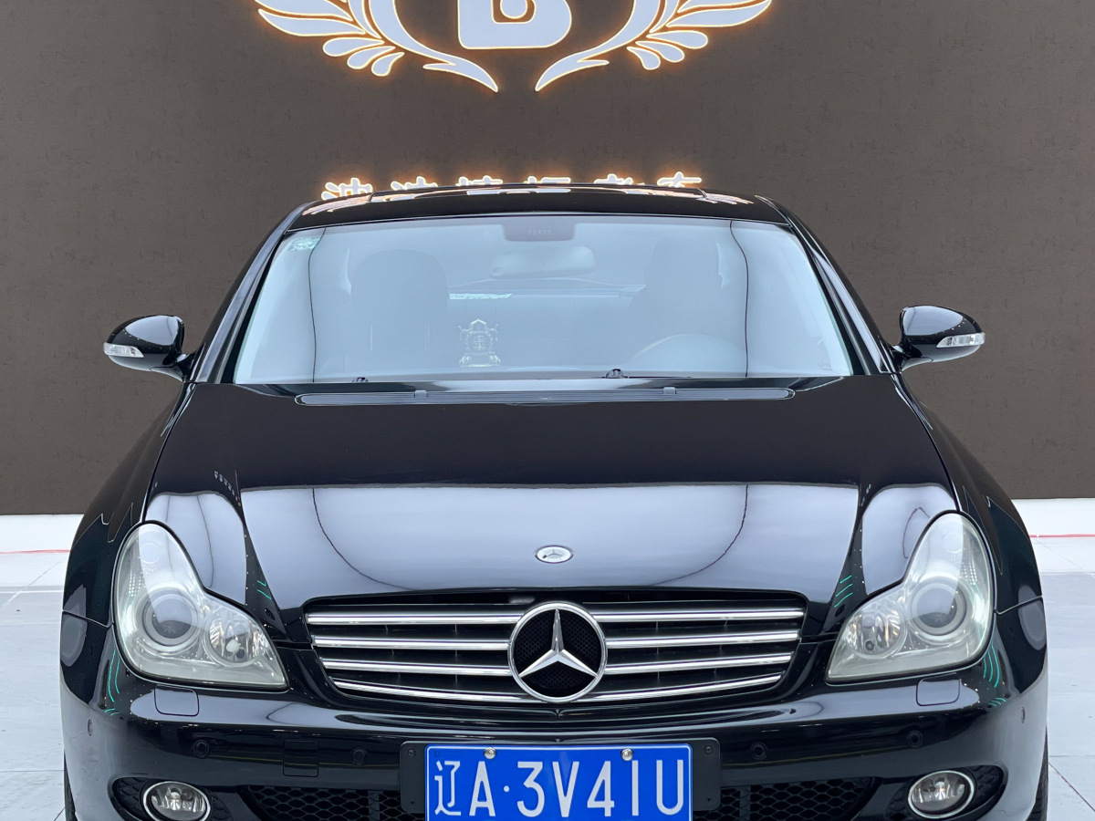 奔馳 奔馳CLS級  2009款 CLS 350圖片