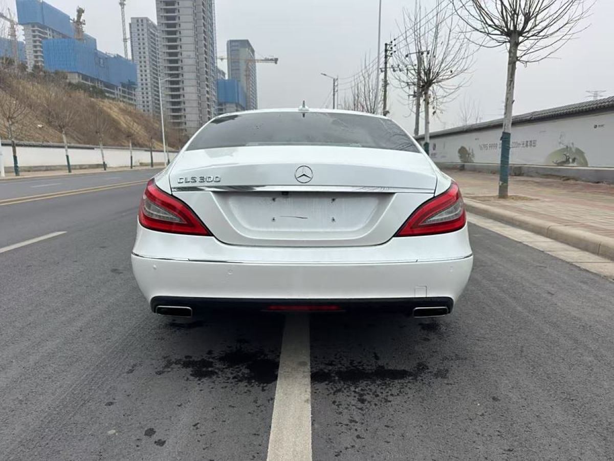 奔馳 奔馳CLS級  2012款 CLS 300 CGI圖片