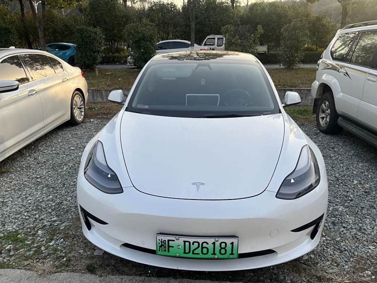 特斯拉 Model 3  2021款 改款 標(biāo)準(zhǔn)續(xù)航后驅(qū)升級(jí)版圖片