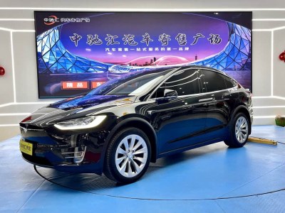 2019年3月 特斯拉 Model X Model X 100D 長(zhǎng)續(xù)航版圖片