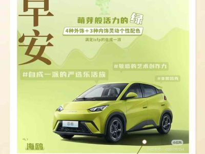 2024年10月 比亞迪 宋L 550km 卓越型圖片