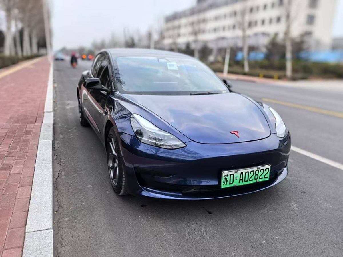 特斯拉 Model 3  2021款 改款 標(biāo)準(zhǔn)續(xù)航后驅(qū)升級(jí)版圖片