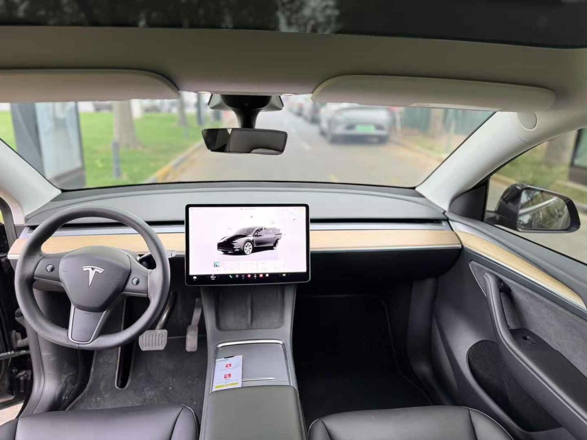特斯拉 Model Y  2022款 Performance高性能全輪驅(qū)動版圖片