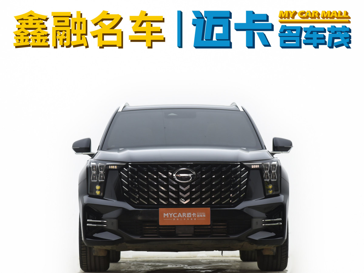 廣汽傳祺 GS8  2024款 領(lǐng)航系列 2.0TGDI 兩驅(qū)豪華智聯(lián)版圖片