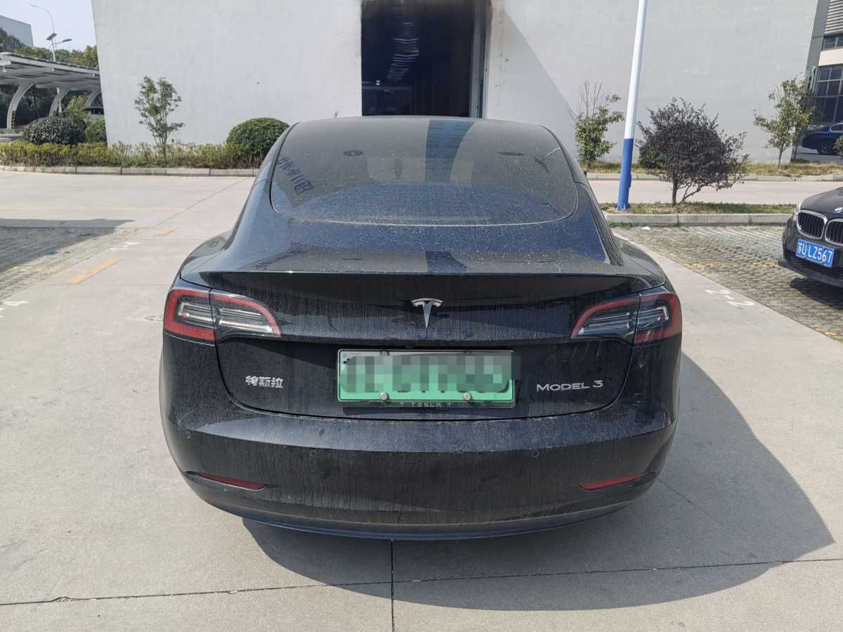 特斯拉 Model 3  2021款 標(biāo)準(zhǔn)續(xù)航后驅(qū)升級(jí)版 3D6圖片