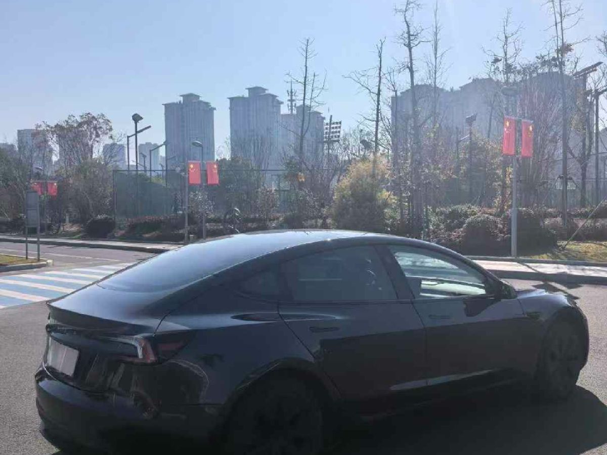 特斯拉 Model Y  2024款 Performance高性能版圖片