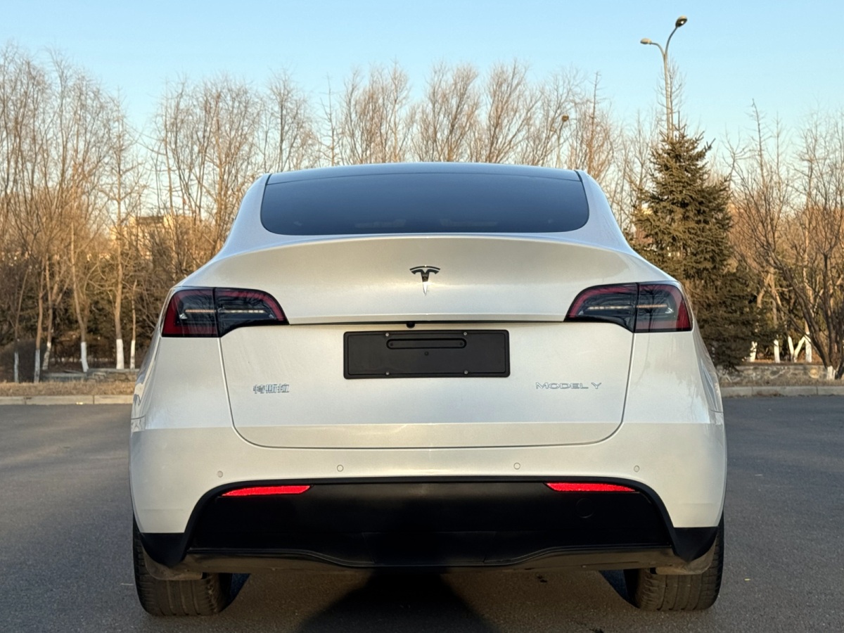 特斯拉 Model Y  2022款 后驅(qū)版圖片