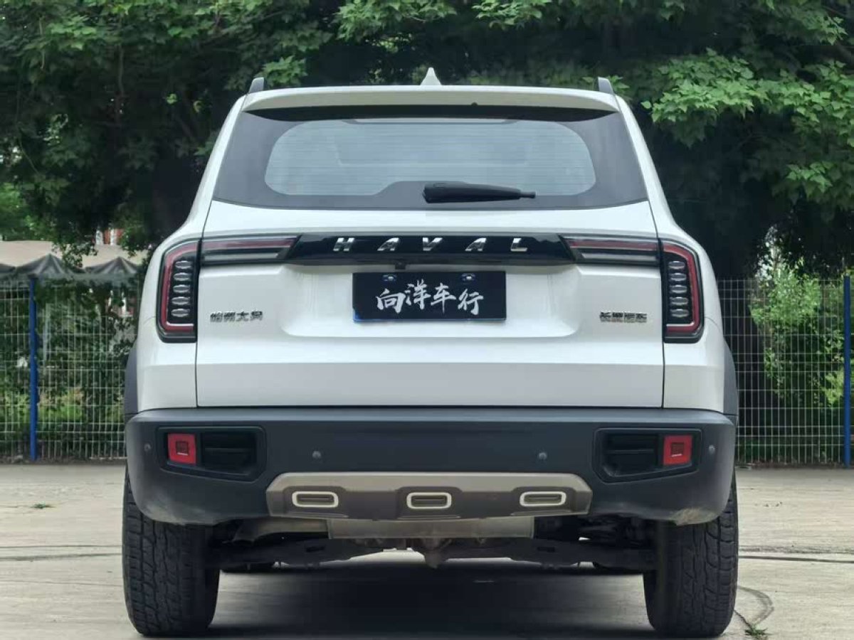 哈弗 哈弗大狗  2021款 1.5T DCT邊牧-旺財(cái)版圖片