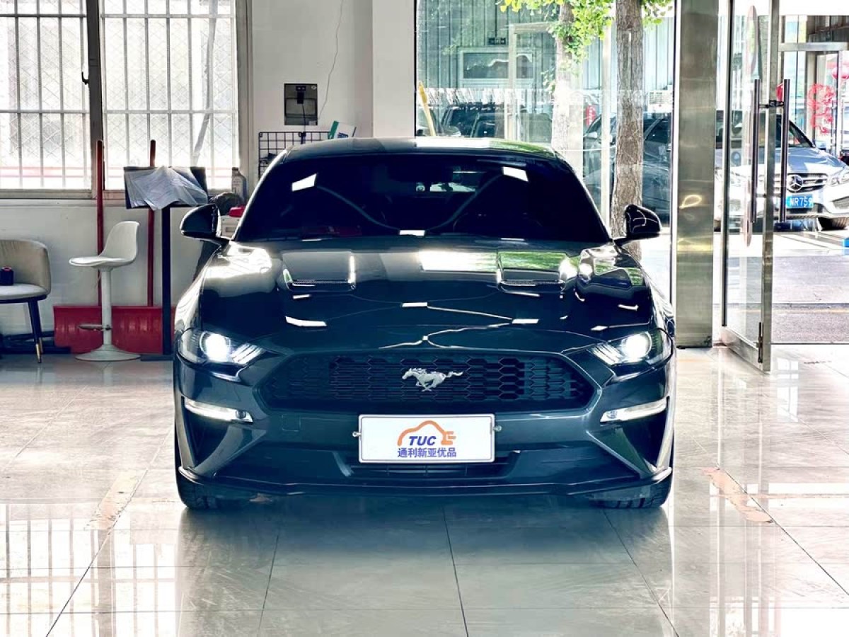 福特 Mustang  2019款 2.3L EcoBoost圖片