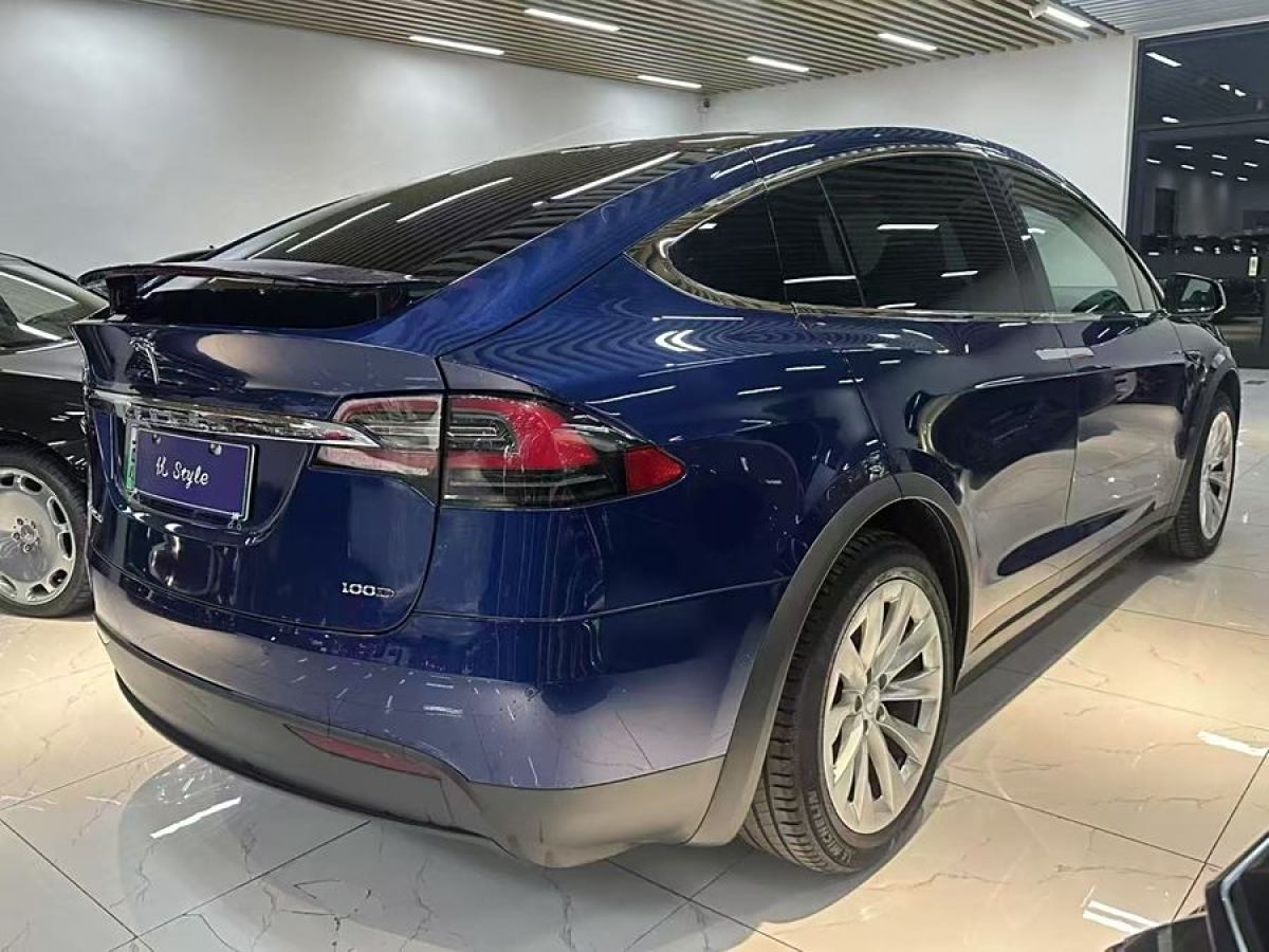 2019年4月特斯拉 Model X  2019款 長續(xù)航版