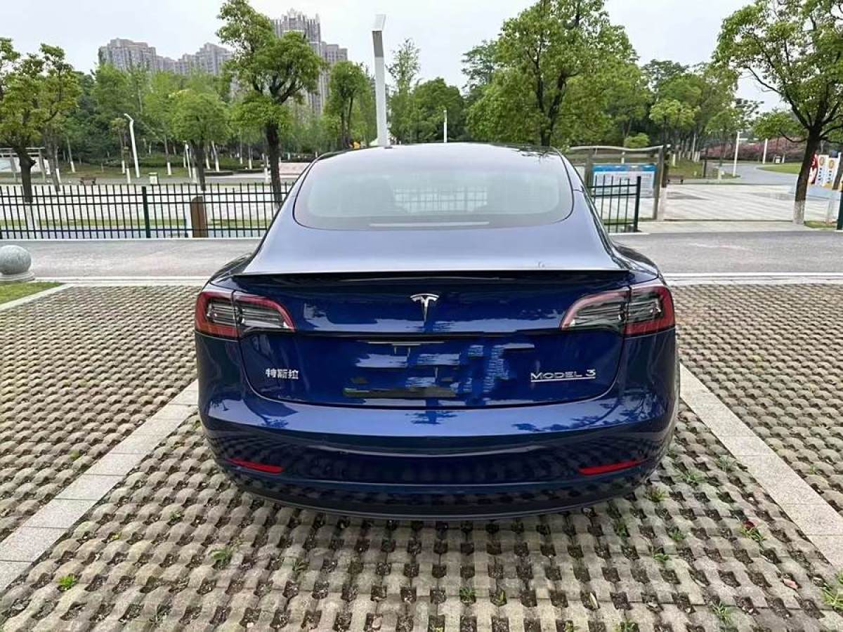 特斯拉 Model 3  2019款 Performance高性能全輪驅(qū)動版圖片