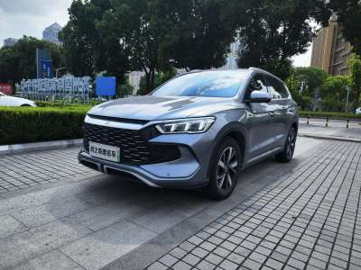 2023年6月 比亚迪 宋Pro新能源 冠军版 DM-i 110KM超越型图片