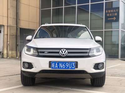 2013年1月 大众 Tiguan(进口) 2.0TSI 豪华版图片