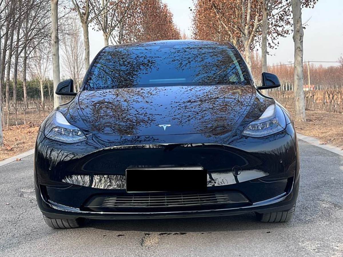 特斯拉 Model 3  2023款 煥新版 后輪驅(qū)動圖片