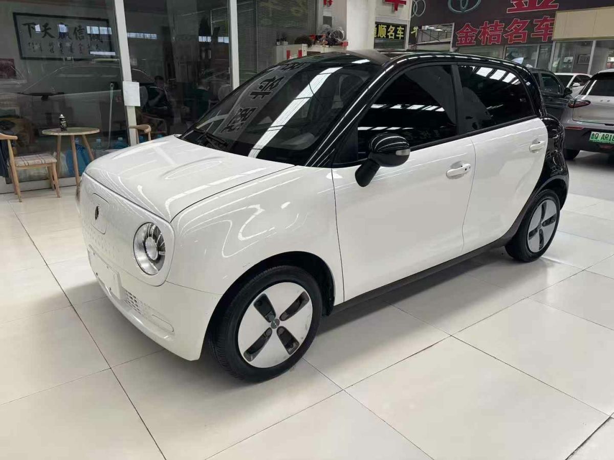 歐拉 歐拉黑貓  2021款 2021款 301km 基礎(chǔ)型圖片