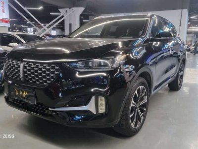 2021年1月 WEY VV6 2.0T 兩驅(qū)智享+圖片
